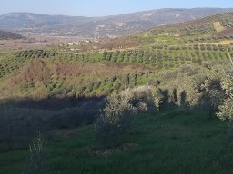 Vers_Elbasan