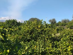 De Catania à Taormina