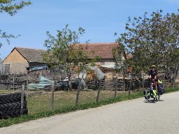 avant_Belgrade